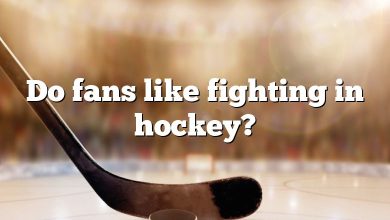 Do fans like fighting in hockey?