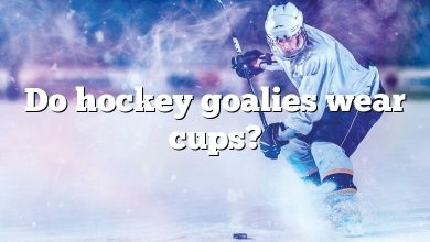 Do hockey goalies wear cups?