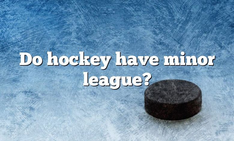 Do hockey have minor league?