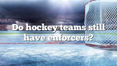 Do hockey teams still have enforcers?