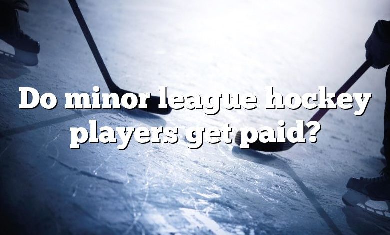 Do minor league hockey players get paid?