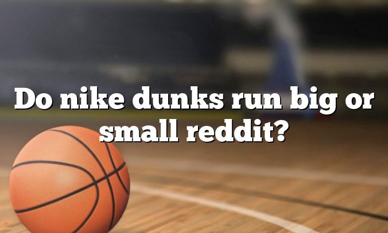 do-nike-dunks-run-big-or-small-reddit-dna-of-sports