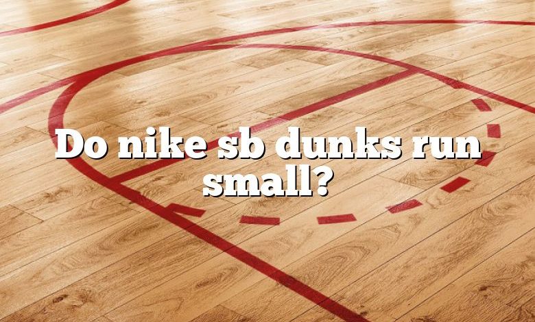 Do nike sb dunks run small?