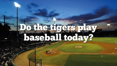 Do the tigers play baseball today?