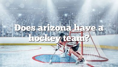 Does arizona have a hockey team?