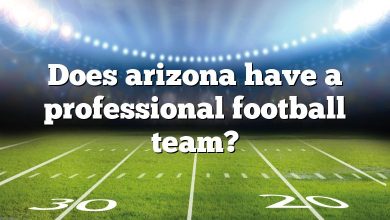 Does arizona have a professional football team?