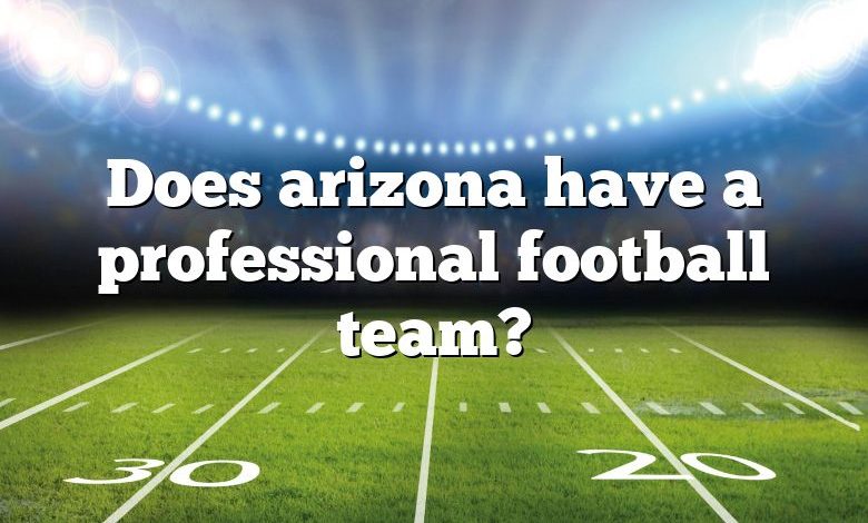 Does arizona have a professional football team?