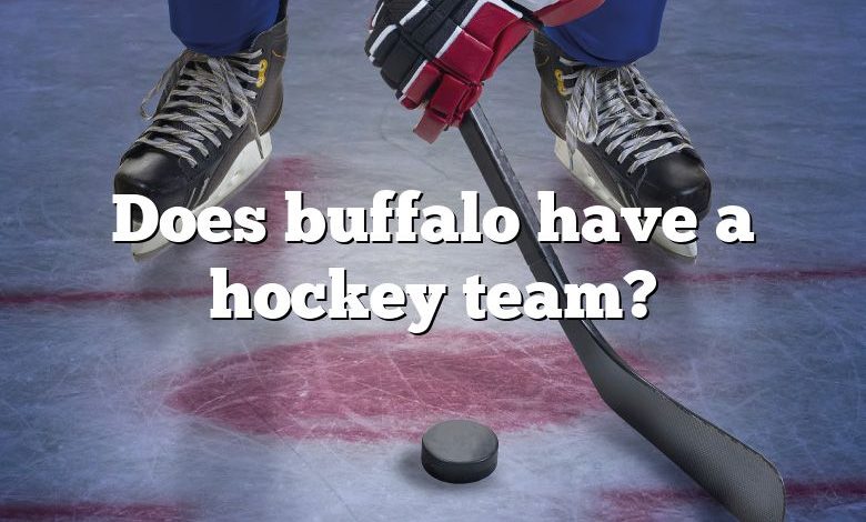 Does buffalo have a hockey team?