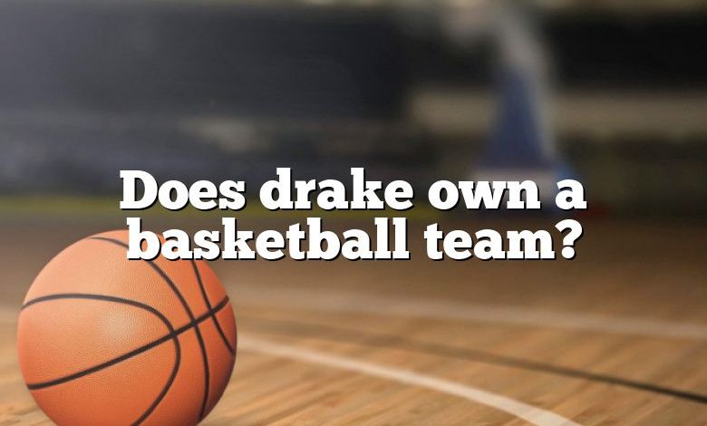 Does drake own a basketball team?