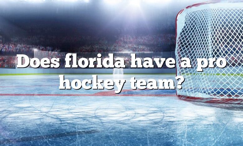 Does florida have a pro hockey team?