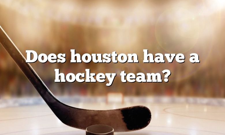 Does houston have a hockey team?