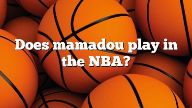 Does mamadou play in the NBA?