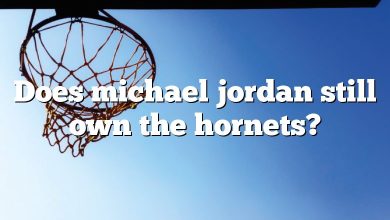 Does michael jordan still own the hornets?