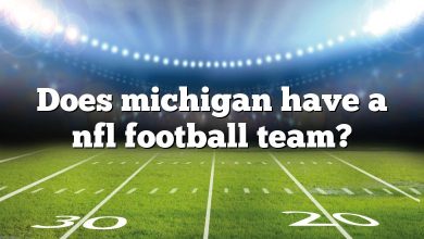 Does michigan have a nfl football team?