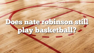 Does nate robinson still play basketball?