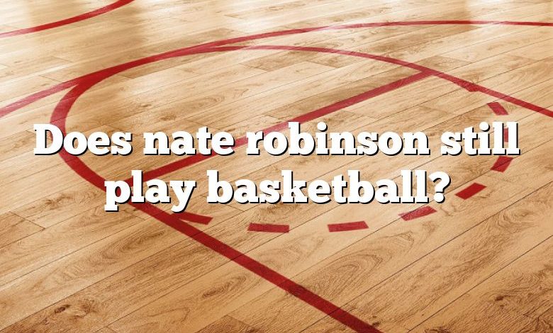 Does nate robinson still play basketball?