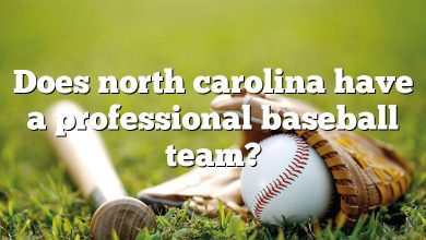 Does north carolina have a professional baseball team?