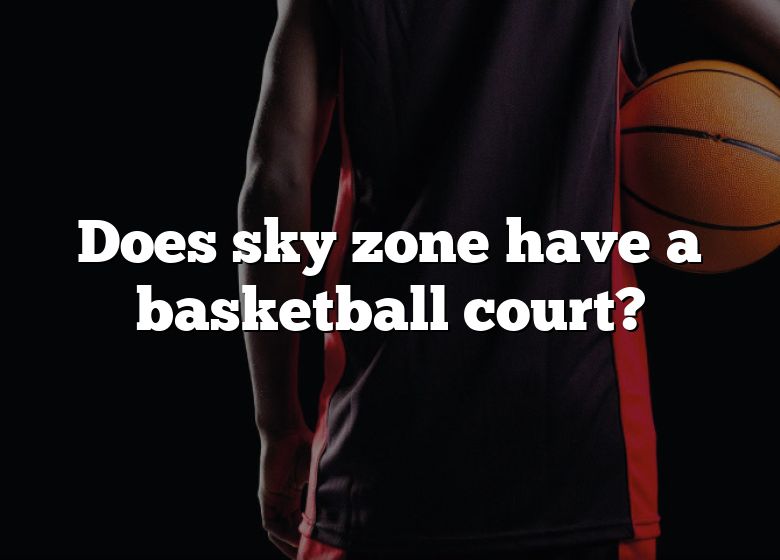 Does Sky Zone Have A Basketball Court? DNA Of SPORTS
