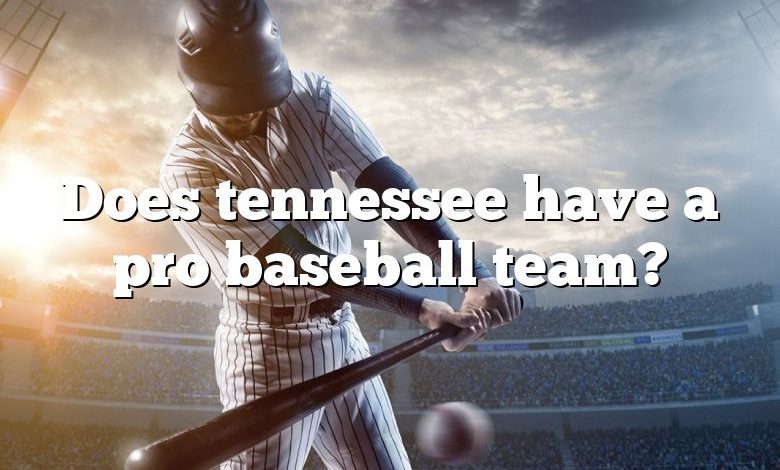 Does tennessee have a pro baseball team?