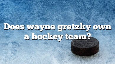 Does wayne gretzky own a hockey team?