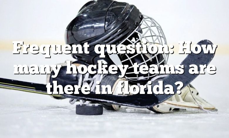 Frequent question: How many hockey teams are there in florida?