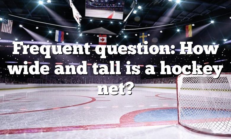 Frequent question: How wide and tall is a hockey net?