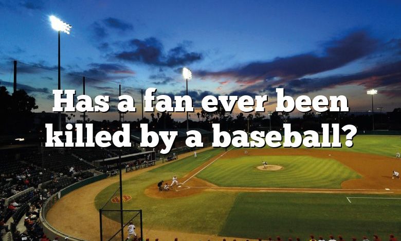 Has a fan ever been killed by a baseball?