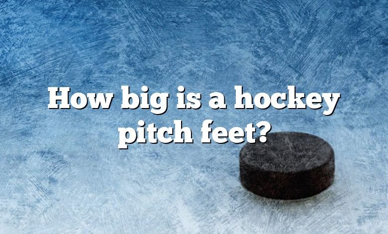 How big is a hockey pitch feet?