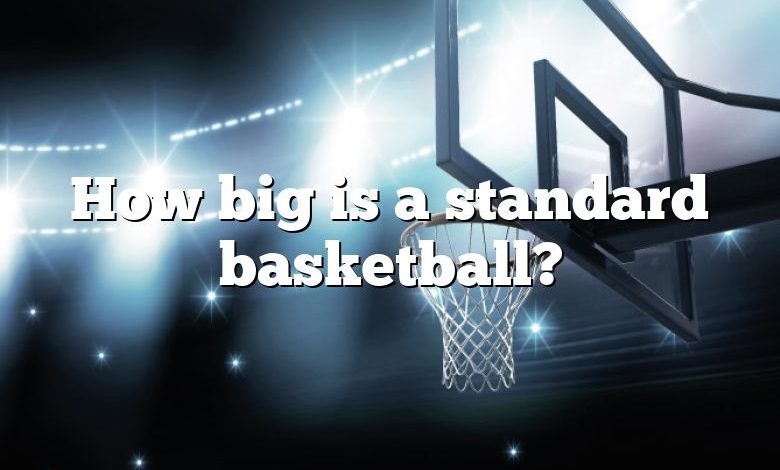 How big is a standard basketball?