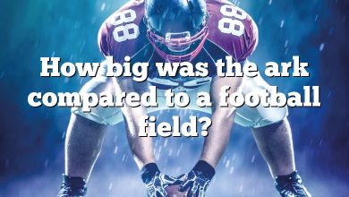 How big was the ark compared to a football field?
