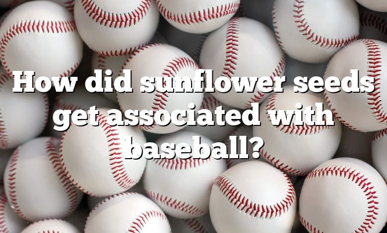 How did sunflower seeds get associated with baseball?