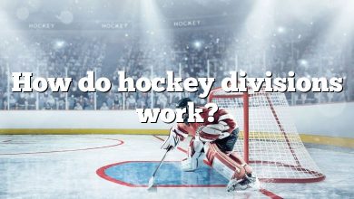 How do hockey divisions work?