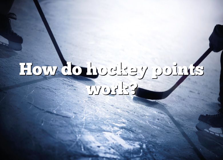 how-do-hockey-points-work-dna-of-sports