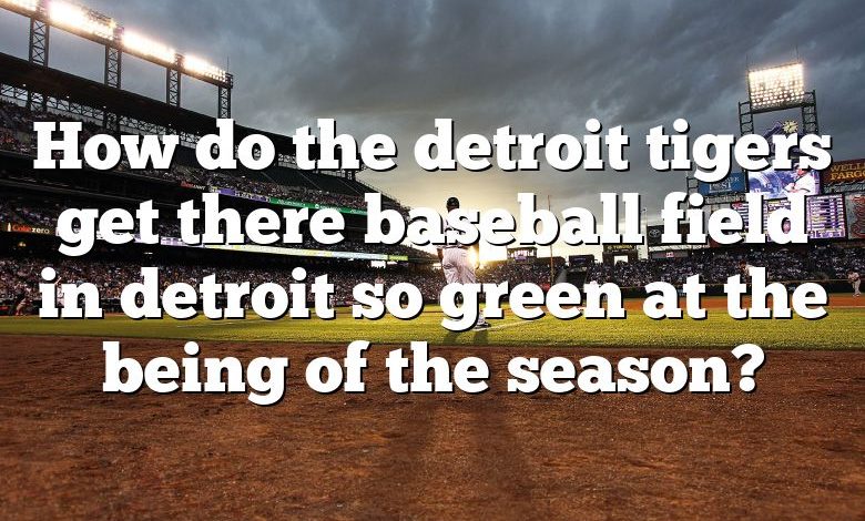 How do the detroit tigers get there baseball field in detroit so green at the being of the season?