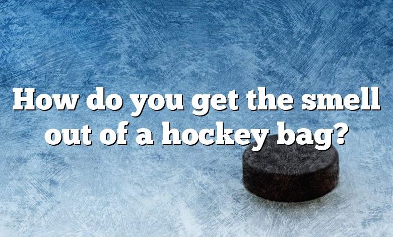 how-do-you-get-the-smell-out-of-a-hockey-bag-dna-of-sports