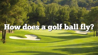 How does a golf ball fly?