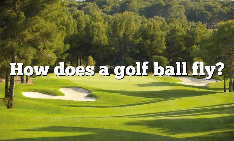 How does a golf ball fly?