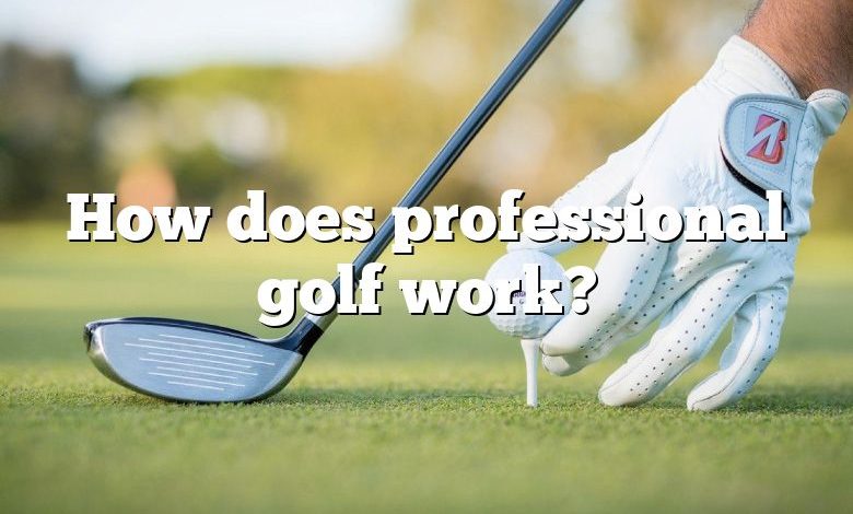 How does professional golf work?