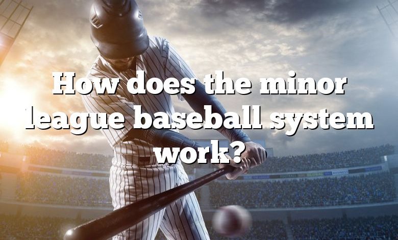 How does the minor league baseball system work?