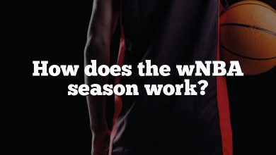 How does the wNBA season work?