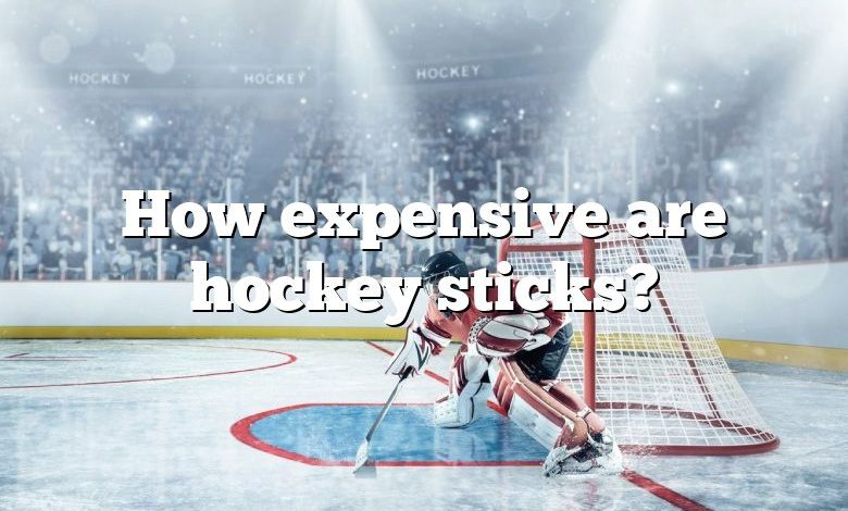 How expensive are hockey sticks?