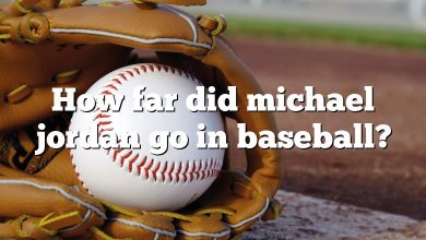 How far did michael jordan go in baseball?