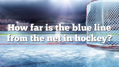 How far is the blue line from the net in hockey?