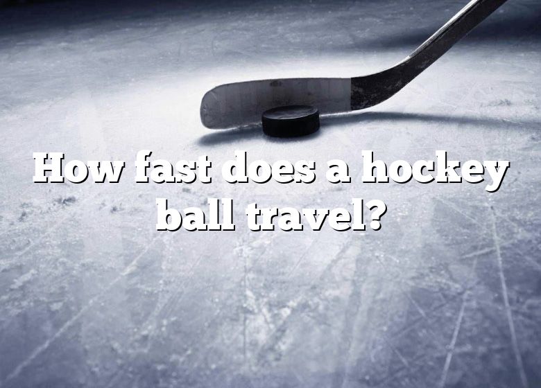 how-fast-does-a-hockey-ball-travel-dna-of-sports