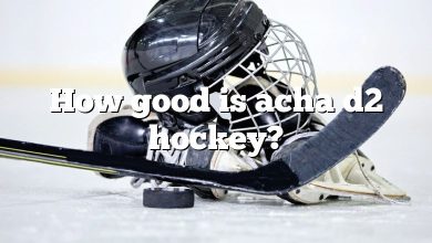 How good is acha d2 hockey?