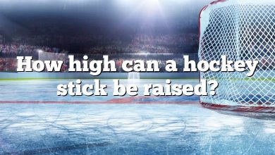 How high can a hockey stick be raised?