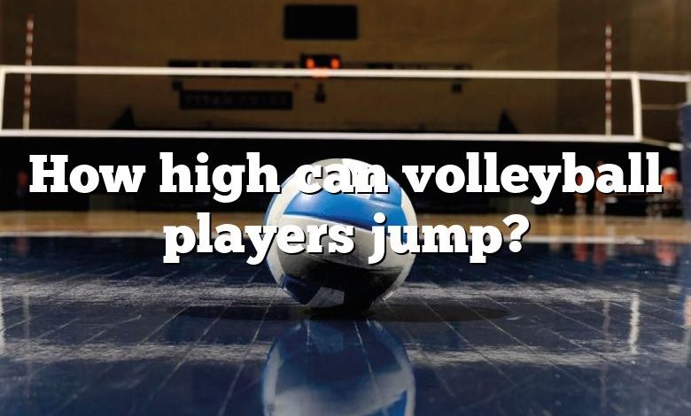 How high can volleyball players jump?