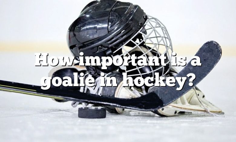 How important is a goalie in hockey?