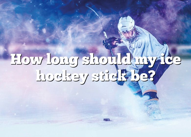 how-long-should-my-ice-hockey-stick-be-dna-of-sports