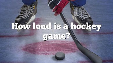 How loud is a hockey game?